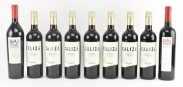 NINE SPANISH RIOJA & TEMPRANILLO RED WINE BOTTLES