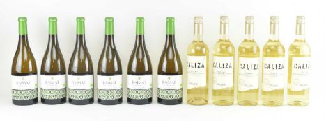 ELEVEN FRENCH & ITALIAN WHITE WINE BOTTLES