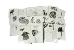 FORMER BRISTOL ZOO GARDENS - PEN AND INK ANIMAL ILLUSTRATIONS