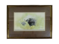 FORMER BRISTOL ZOO GARDENS - DAVID SHEPHERD (1931-2017) - BUFFALO - SIGNED PRINT