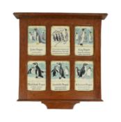 FORMER BRISTOL ZOO GARDENS - PENGUIN TILES FROM PENGUIN ENCLOSURE