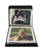 FORMER BRISTOL ZOO GARDENS - EDUCATIONAL PHOTOGRAPH PORTFOLIO