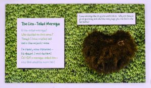 FORMER BRISTOL ZOO GARDENS - INTERACTIVE SIGNS