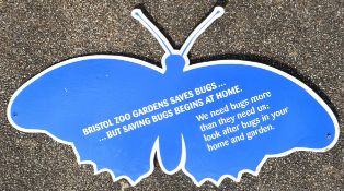 FORMER BRISTOL ZOO GARDENS - WOODEN BUG WORLD BUTTERFLY SIGN
