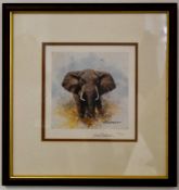 FORMER BRISTOL ZOO GARDENS - DAVID SHEPHERD (1931-2017) - ELEPHANT - SIGNED PRINT
