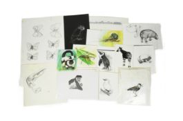 FORMER BRISTOL ZOO GARDENS - ZOO RELATED ARTWORK