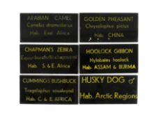 FORMER BRISTOL ZOO GARDENS - VINTAGE ANIMAL ENCLOSURE PLAQUES