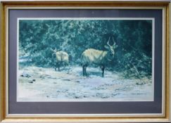 FORMER BRISTOL ZOO GARDENS - DAVID SHEPHERD (1931-2017) - AFRICAN AFTERNOON - SIGNED PRINT