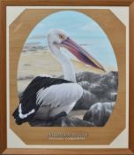 FORMER BRISTOL ZOO GARDENS - 'AUSTRALIAN PELICAN' - SUSAN JANE 1998 - PAINTING