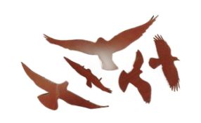 FORMER BRISTOL ZOO GARDENS - METAL BIRDS FROM THE HIDE RESTAURANT