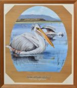 FORMER BRISTOL ZOO GARDENS - 'PINK-BACKED PELICAN' - SUSAN JANE 1999 - PAINTING