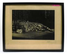 FORMER BRISTOL ZOO GARDENS - VINTAGE FRAMED CABINET PHOTOGRAPH