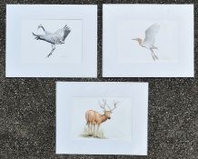 FORMER BRISTOL ZOO GARDENS - A. STUBBS - WATERCOLOUR PAINTINGS