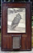 FORMER BRISTOL ZOO GARDENS - 1920S KODAK ADVERTISING DISPLAY CABINET