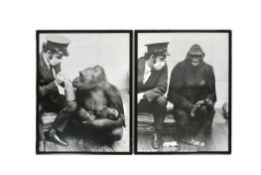 FORMER BRISTOL ZOO GARDENS - LARGE VINTAGE PHOTOS OF DELILAH & DANIEL