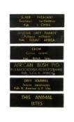 FORMER BRISTOL ZOO GARDENS - VINTAGE ANIMAL ENCLOSURE PLAQUES