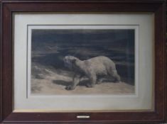 FORMER BRISTOL ZOO GARDENS - HERBERT DICKSEE (1862-1942) - A POLAR NIGHT