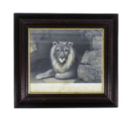 FORMER BRISTOL ZOO GARDENS - AFTER JOHN WEST MILES - JUPITER ENGRAVING