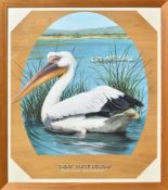 FORMER BRISTOL ZOO GARDENS - 'GREAT WHITE PELICAN' - SUSAN JANE 1998 - PAINTING