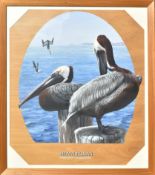 FORMER BRISTOL ZOO GARDENS - 'BROWN PELICAN' - SUSAN JANE 1998 - PAINTING