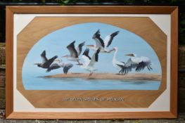 FORMER BRISTOL ZOO GARDENS - 'SEVEN SPECIES OF PELICAN' - SUSAN JANE - PAINTING