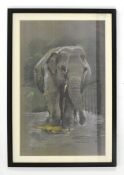 FORMER BRISTOL ZOO GARDENS - WENDY THE ELEPHANT - PASTEL STUDY