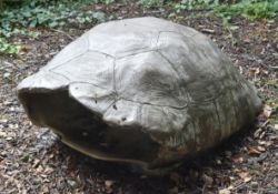FORMER BRISTOL ZOO GARDENS - LARGE TORTOISE SHELL ATTRACTION