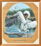 FORMER BRISTOL ZOO GARDENS - 'DALMATIAN PELICAN' - SUSAN JANE - PAINTING