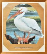 FORMER BRISTOL ZOO GARDENS - SUSAN JANE - AMERICAN WHITE PELICAN - PAINTING