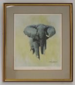 FORMER BRISTOL ZOO GARDENS - DAVID SHEPHERD (1931-2017) - AFRICAN BULL ELEPHANT - SIGNED PRINT