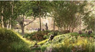 BRISTOL ZOO PROJECT - GORILLA ISLAND EXPERIENCE FOR FOUR