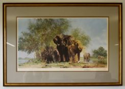 FORMER BRISTOL ZOO GARDENS - DAVID SHEPHERD (1931-2017) - ELEPHANTS & EGRETS - SIGNED PRINT