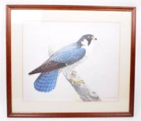 K RICHARDSON - LIMITED EDITION PRINT OF PEREGRINE FALCON