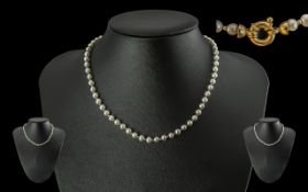 Ladies Pleasing Quality Single Strand Pe