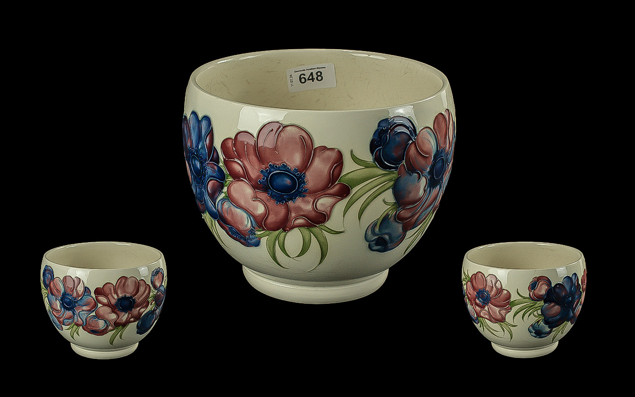 Moorcroft 'Anemone' Cream Planter, 7.5"