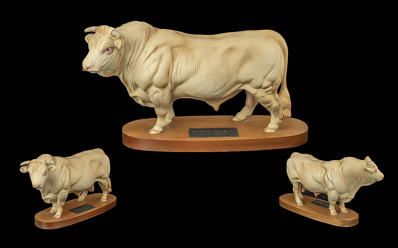 Beswick Hand Painted Large Bull Figure - Connoisseur Cattle ' Charolais Bull ' on Wooden Plinth, - Image 2 of 2