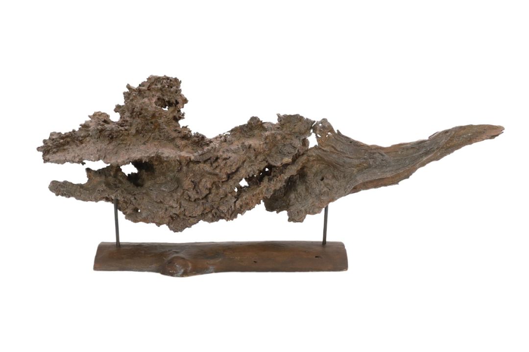 ** ** A large section of Andaman Padauk burr wood of sculptural form, mounted on a stand, 148cm - Image 1 of 4
