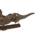** ** A large section of Andaman Padauk burr wood of sculptural form, mounted on a stand, 148cm - Image 3 of 4
