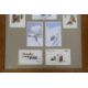 Carlo Pellegrini (1866-1937), seven assorted ski-ing theme postcards, framed as one - Image 4 of 4