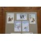 Carlo Pellegrini (1866-1937), seven assorted ski-ing theme postcards, framed as one - Image 3 of 4