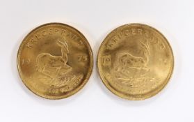 Gold coins, South Africa, two gold 1oz. Krugerrands, 1975, near UNC (2oz.)