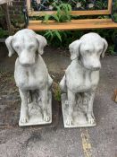 A pair of reconstituted stone seated hound garden ornaments, height 71cm. Condition - good
