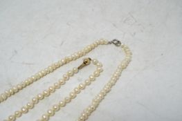 A single strand cultured pearl choker necklace, with 375 clasp, 38cm, together with a freshwater