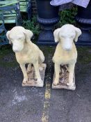 A pair of reconstituted stone models of seated hounds, height 70cm. Condition - fairly heavily