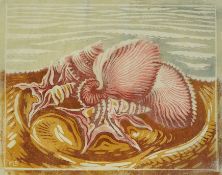 § § Margaret Barnard (British, 1900-1992) Seashellslinoleum cut printed in colours on tissue-thin