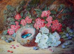 Vincent Clare (British, 1855-1930) Still life of birds nest, blossom and violetsoil on