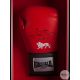 A Connor Benn boxing glove and photographic print montage. - Image 2 of 2
