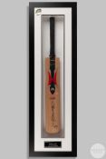 A Woodworm Premier 