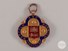 Reginald Wilkinson 9ct gold & enamel Norfolk & Norwich Hospital Cup medal, 1920-21.