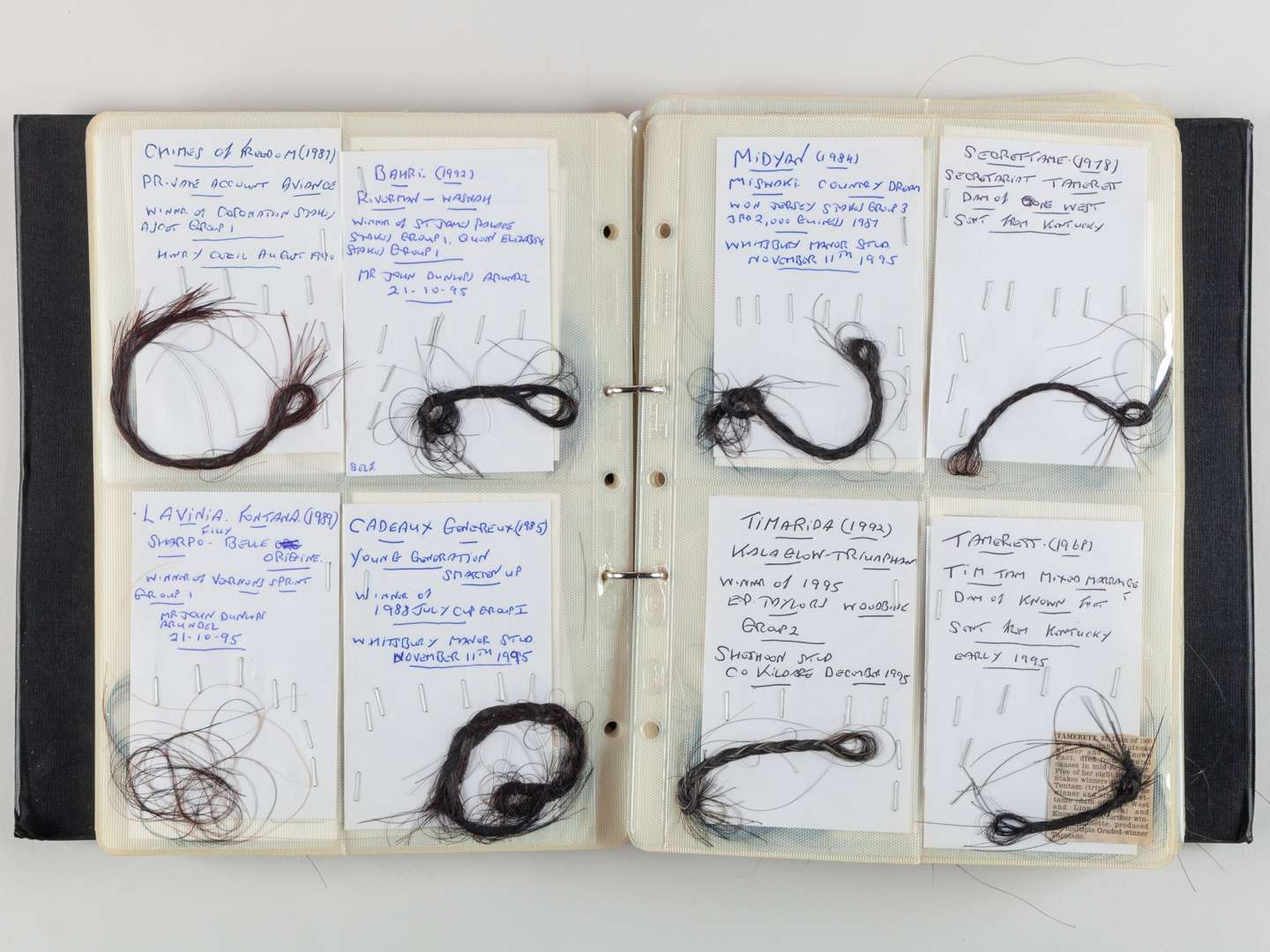 The Ray Goddard Collection of Hair Trophies of Champion Racehorses. - Image 8 of 28